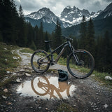 Haibike LYKE CF 10, High carbon/silver, 2025